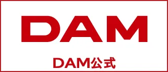 DAM公式